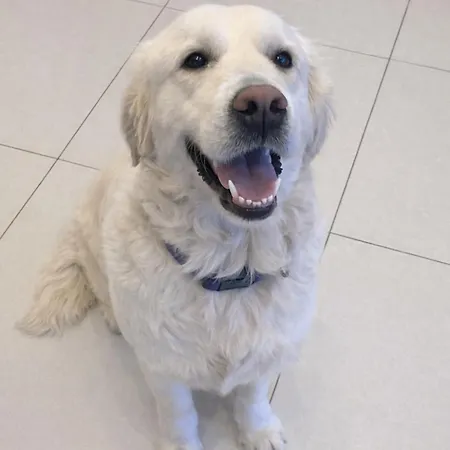 Hillview بيت للعطل Barrysbrook