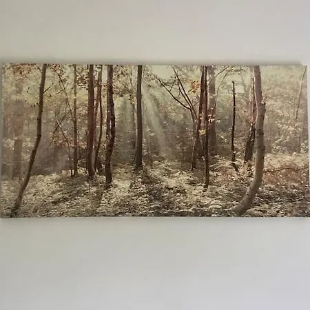 Hillview * Barrysbrook