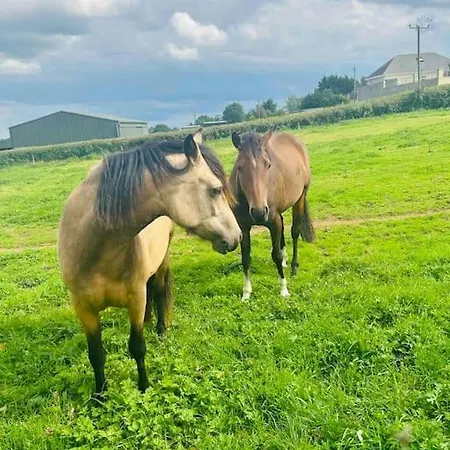 بيت للعطل Hillview Barrysbrook