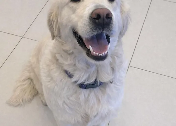 Hillview 度假居 Barrysbrook