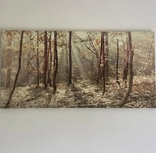 Hillview * Barrysbrook